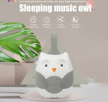 Load image into Gallery viewer, Davie Set