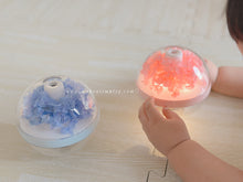 Load image into Gallery viewer, Portable humidifier with preserved hydrangeas
