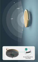 Load image into Gallery viewer, LumiVerde
