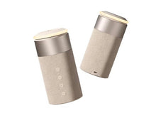 Load image into Gallery viewer, Luminaire
